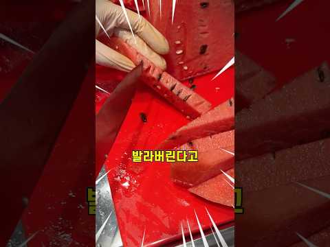 내가 먹던 수박주스가 가짜!? 브랜드별 수박주스 비교🍉