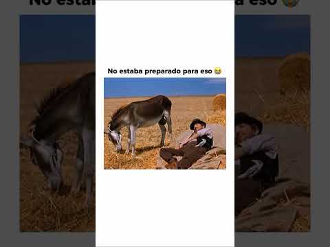 Miren el video hasta el final🤣🤣🤣🤣🤣🤣 #humor #memes