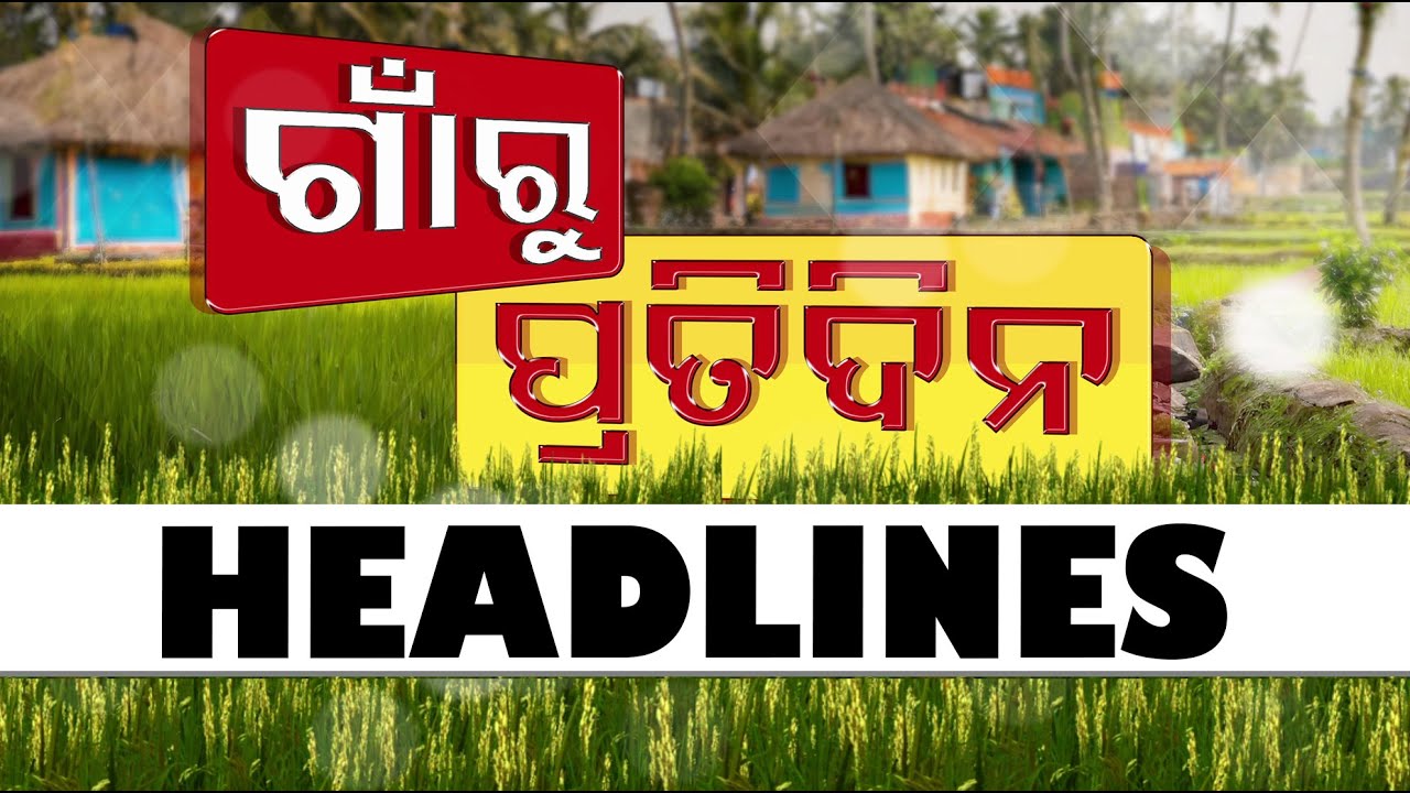ଗାଁରୁ ପ୍ରତିଦିନ OTV Headline | 12th March 2025