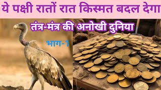 इस पक्षी की ये चीज घर ले आइए आपके दिन बदल जाएंगे जादुई प्रयोग//giddh ki rochak jankari
