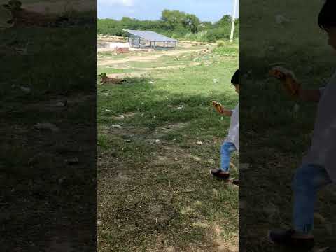 Ye Gaun Hai Sahab #kidsvlog #cutebaby #trending #viralvideo #shorts #rurallife #ytshorts #life