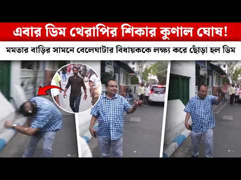 এবার ডিম থেরাপির শিকার কুণাল ঘোষ! মমতার বাড়ির সামনে বেলেঘাটার বিধায়ককে লক্ষ্য করে ছোঁড়া হল ডিম