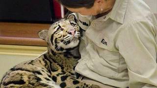 Animal Couldn’t Hold Emotions When Hugged By Their Favorite Human 😍Cute Animal Videos 2025