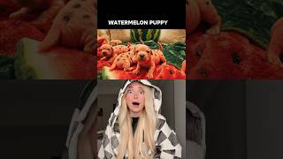 WHAT FRUIT BABY ARE YOU PICKING?? #animals #pets #viral #fyp #asmr creator: haley.hallucinations