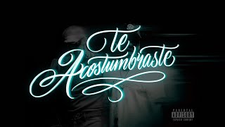MC Davo, Sandro Malandro - TE ACOSTUMBRASTE  (Letra/Lyrics)