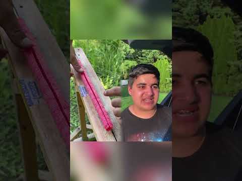 This is why you shouldn’t kill your siblings (part 19) #fyp #viral