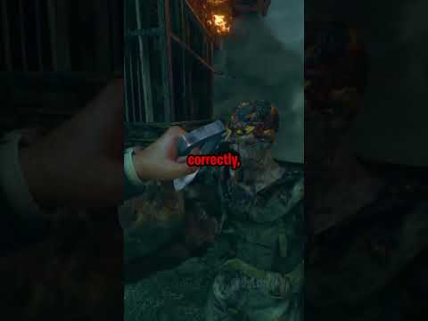 Craziest Glitch in CoD Zombies.