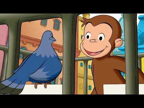 O Novo Amigo Pombo do George | Episódios Completos 🐵 George, o Curioso