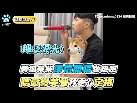 【男抱柴柴深情開唱牠想跑 聽憂鬱美聲秒走心定格】｜TikTok / guanhong_0124