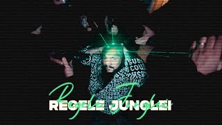 Dani Mocanu 🦁 Regele Junglei 👑 Official Video