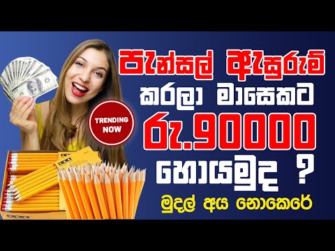වියදමක් නැතිව කරන්න පුලුවන් ස්වයං රැකියා/home business idias in sinhala/swayan rakiya at home 2025