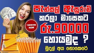 වියදමක් නැතිව කරන්න පුලුවන් ස්වයං රැකියා/home business idias in sinhala/swayan rakiya at home 2025