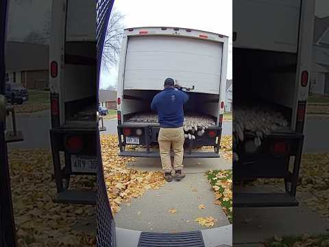 "SURPRISE!" Man Opens Truck, Gets BURRIED by Rodents 🤣📦