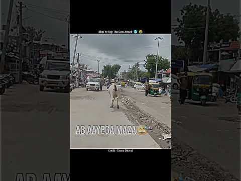 Bhai Ye Kay Tha Cow Attack 🥶😂#motovlog #viral #ytshorts #cow #attack #sound #superbike #reels #vlog