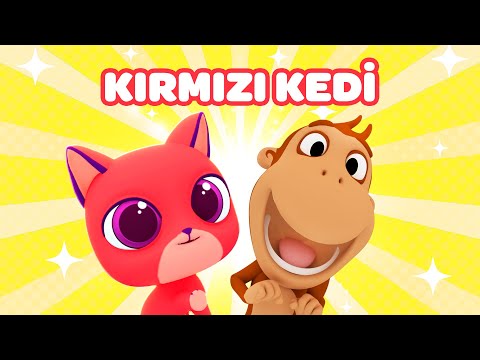 🐾 Kırmızı Kedi Miyav Miyav - Kukuli | Eğlenceli Çocuk Şarkısı 🎶