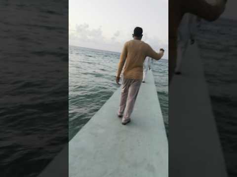 Goruvanka valagane#shortfeeds #shortviral#shorts