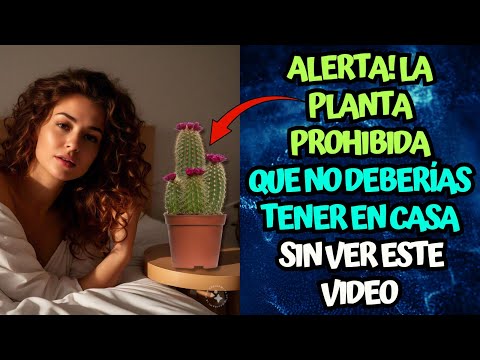 ALERTA! La Planta Prohibida que No Deberías Tener en Casa sin Ver este Video