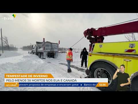 Pelo menos 38 morrem nos EUA e Canadá por causa de tempestade de inverno