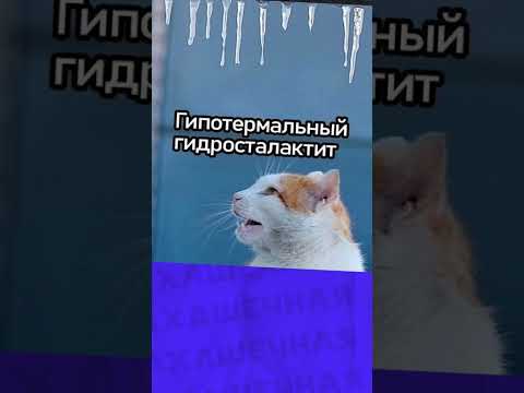 Поздравляю с Днём мартовский котов!