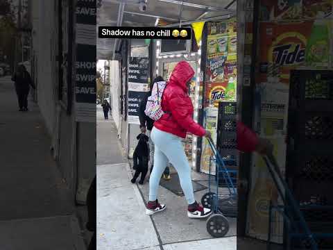 #funny #robloxfunny #roblox #prank