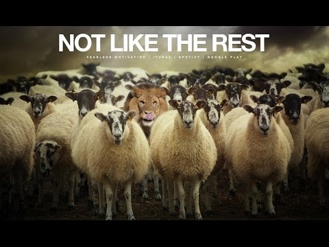 Not Like The Rest - Motivational Video (The Champion Mindset)