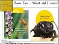 Understanding Non-Fiction Texts about Bees