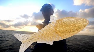 Can I Catch a Trout on a Gillydine?