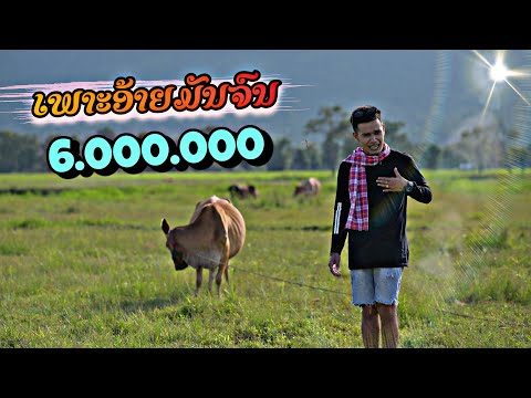 ເພາະອ້າຍມັນຈົນ เพราะอ้ายมันจน Bigyai ແບກຶ x Heo vvk [Official MV]