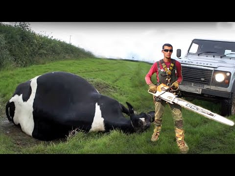 Modern Farmer’s Day – Fast Soil Work and High-Tech Cow Care