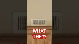 What The???