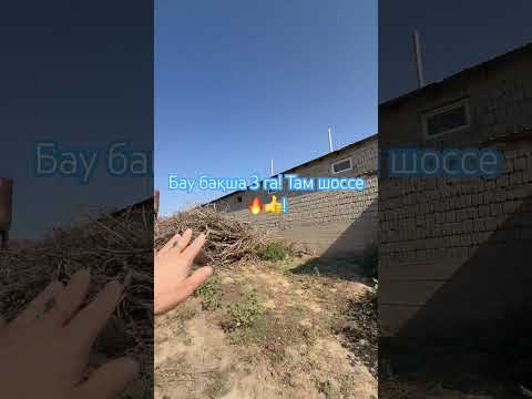 3 га Птицефабрика! Тамерлановское шоссе дайын бизнес!💵🔥👍 табысты бол әмин #реалтишымкент
