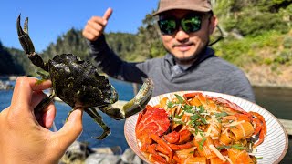 Invasive European GREEN CRAB DIVE | catch and cook