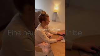 Adventskalender im Tribe