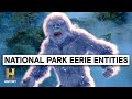Mysteries of Nature and Paranormal Phenomena