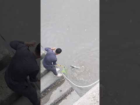 망둥어 낚시하다 생긴 이런일이! #shorts