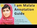 Themes and Motifs in 'I Am Malala'