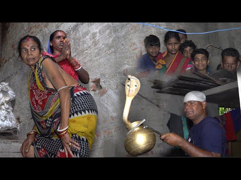 पूजा के कलश में छुपा था ज़हरीला कोबरा सांप – देखो आगे क्या हुआ | Spectacled Cobra Rescue