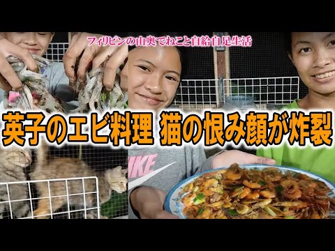 芝エビのチャプスイ風炒め｜香ばしいエビの香りに群がる猫【フィリピンの山奥でねこと自給自足生活】