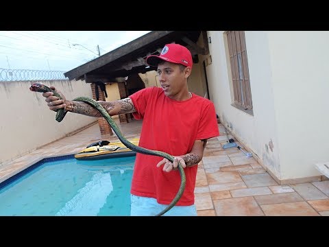 ASSUSTEI TODOS DA CASA COM UMA COBRA !!