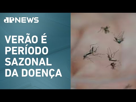 Governo instala centro de emergência para dengue