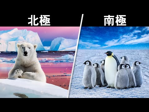 北極和南極有什麼不同之處呢？ - YouTube