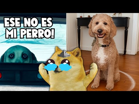 QUE BONITO ESTA TU  SKINWALKER 💀 -  Juegos con cheems