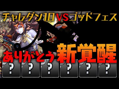 【引き強】ゴッドフェス5回引いて出たキャラでチャレダン10に挑む！【パズドラ】