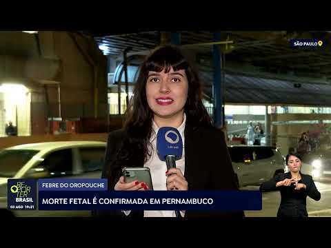 Oropouche: OPAS eleva risco da doença nas Américas