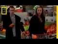 Understanding the Quest for Oranges