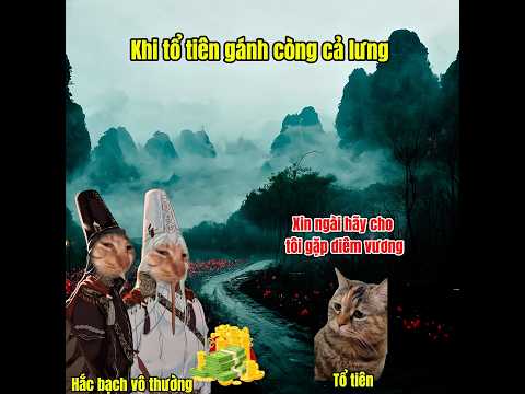 Ôi tổ tiên ơii! Thật ko thể tin nổi #meme #cat #pets