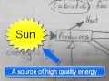 Ecosystem Energy and Nutrient Dynamics
