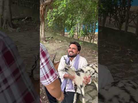 गरीब कलाकार 😭 #shorts #funnyvideos