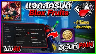 แจกสคริปต์ Blox Fruits มือถือ ล่าสุด ตีบอส PAIN ไม่โดนแบน ไม่มีคีย์ ออโต้ทำทุกอย่าง