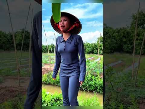 Hay chọc gẹo nè... #viralvideo #haihuoc #xuhuong #giaitri #comedy #vuinhon #hàihước